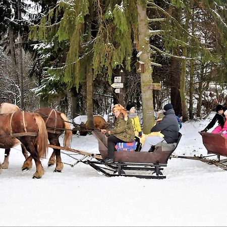 Апартаменты Wigierski Park Narodowy Сувалки Экстерьер фото