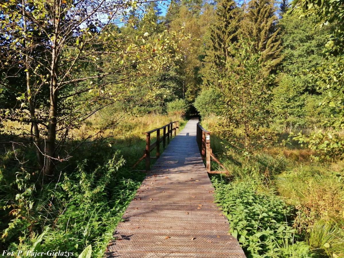 Апартаменты Wigierski Park Narodowy Сувалки Экстерьер фото